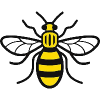Manchester Bee